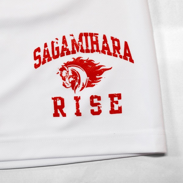 �Υ������ϸ��饤�� �ɥ饤�ϡ��եѥ��