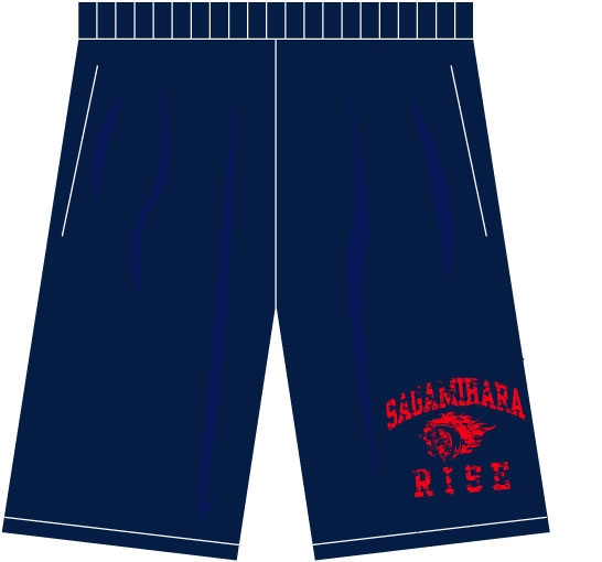 �Υ������ϸ��饤�� �ɥ饤�ϡ��եѥ��