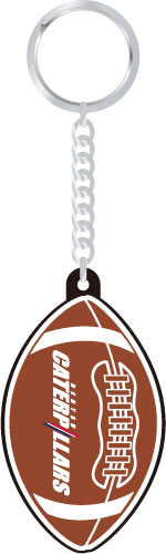 ���̥��㥿�ԥ顼�� ������륭���ۥ����