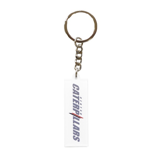 ���̥��㥿�ԥ顼�� ������륭���ۥ����