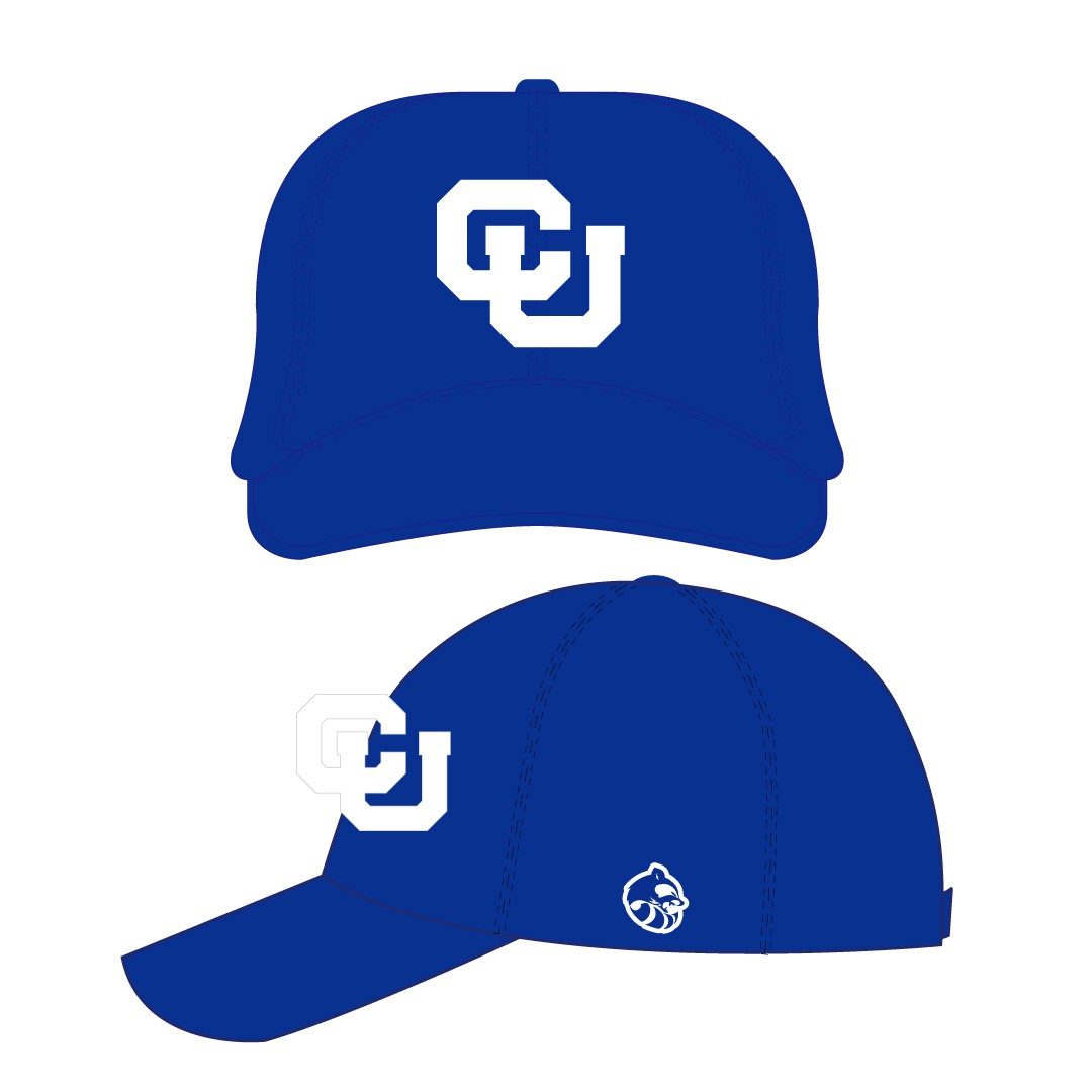 ������RACCOONS �������֥롼����å�