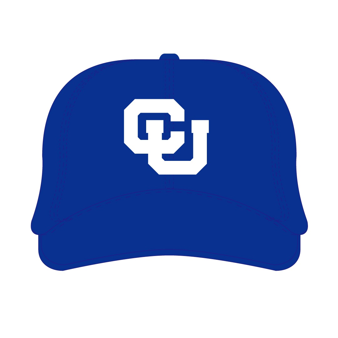 ������RACCOONS �������֥롼����å�