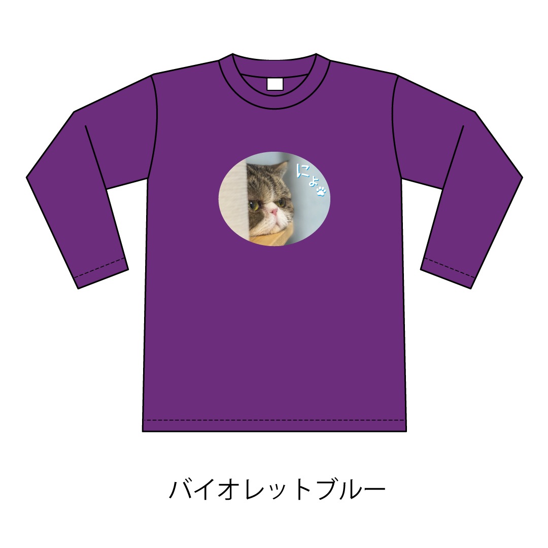 ǭ�������ˤ硩����T�����