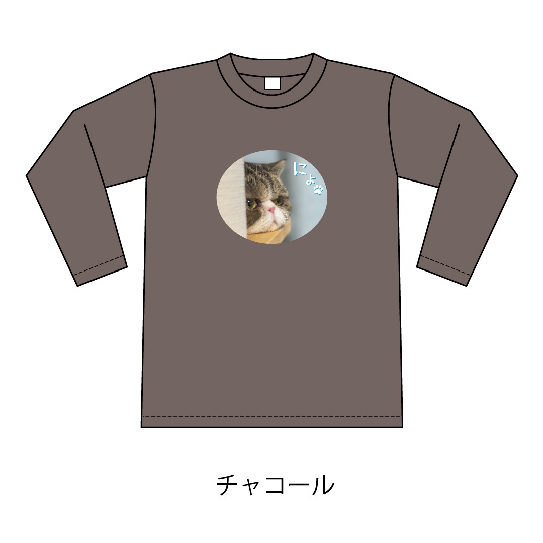 ǭ�������ˤ硩����T�����