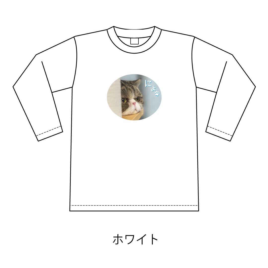 ǭ�������ˤ硩����T�����