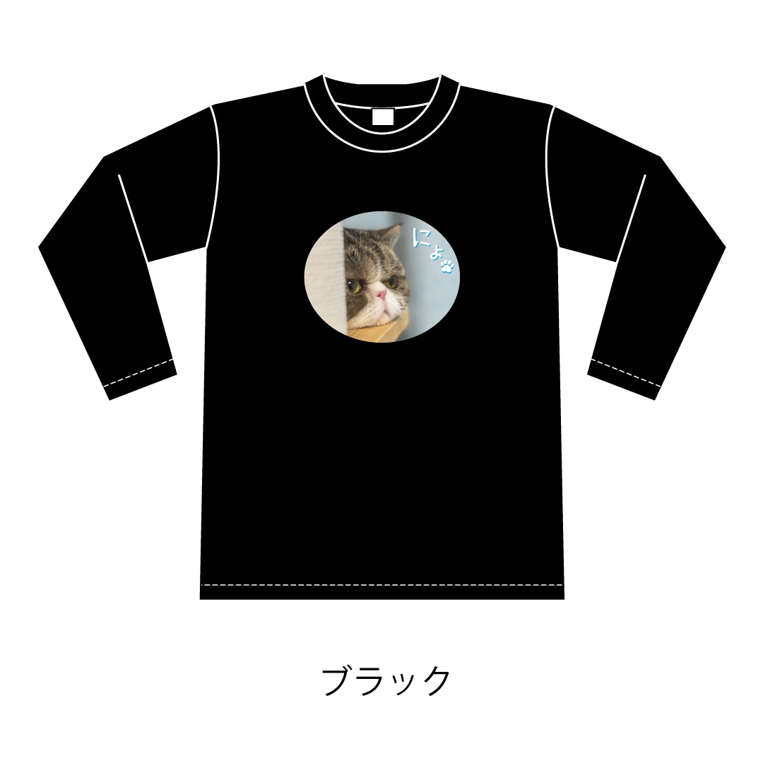 ǭ�������ˤ硩����T�����