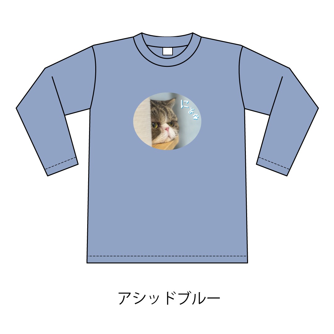 ǭ�������ˤ硩����T�����