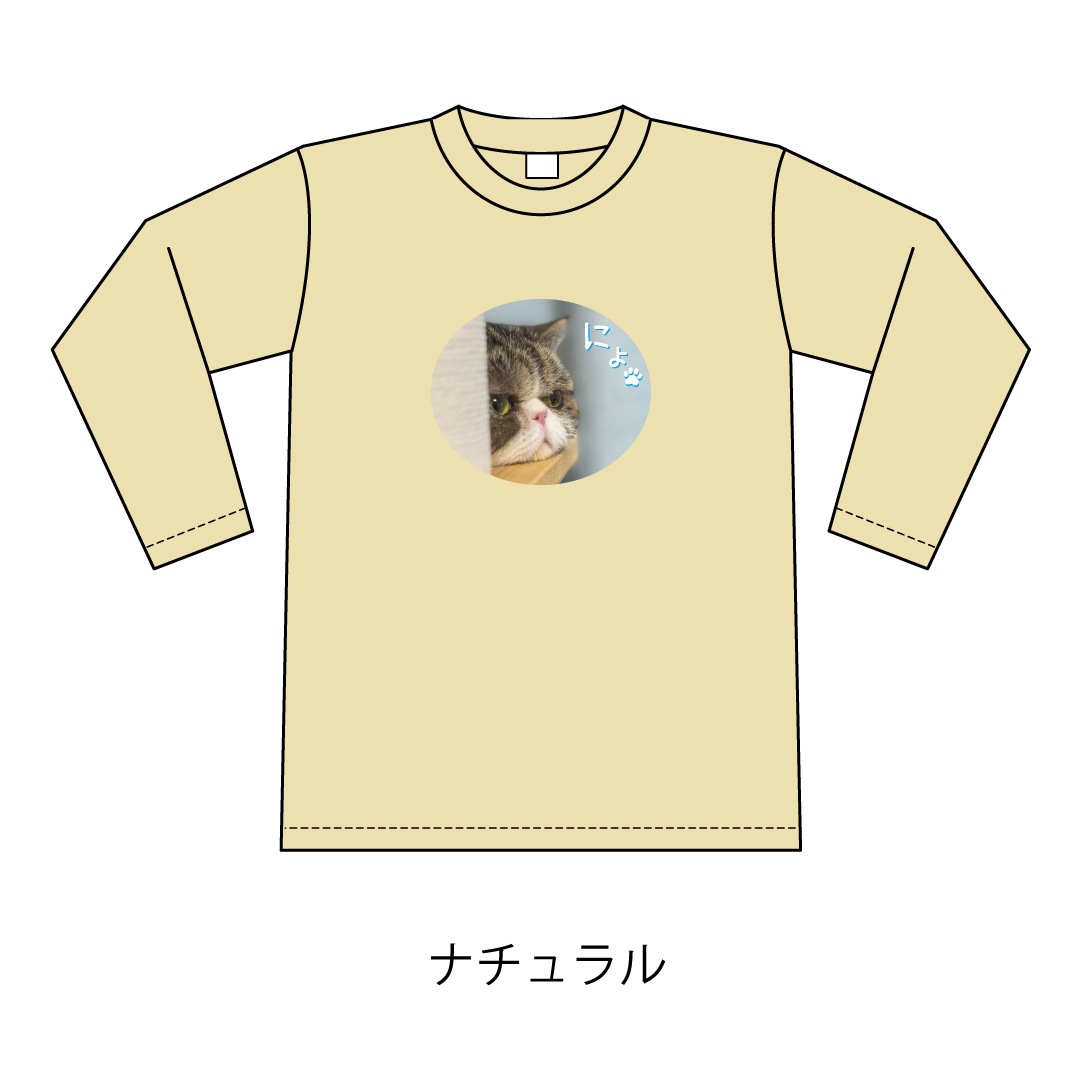 ǭ�������ˤ硩����T�����