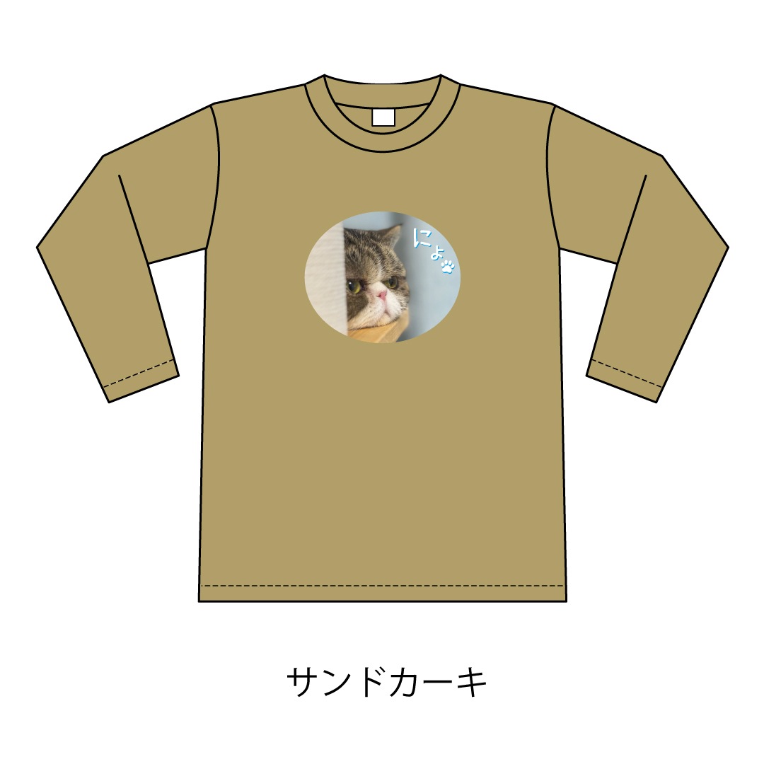 ǭ�������ˤ硩����T�����