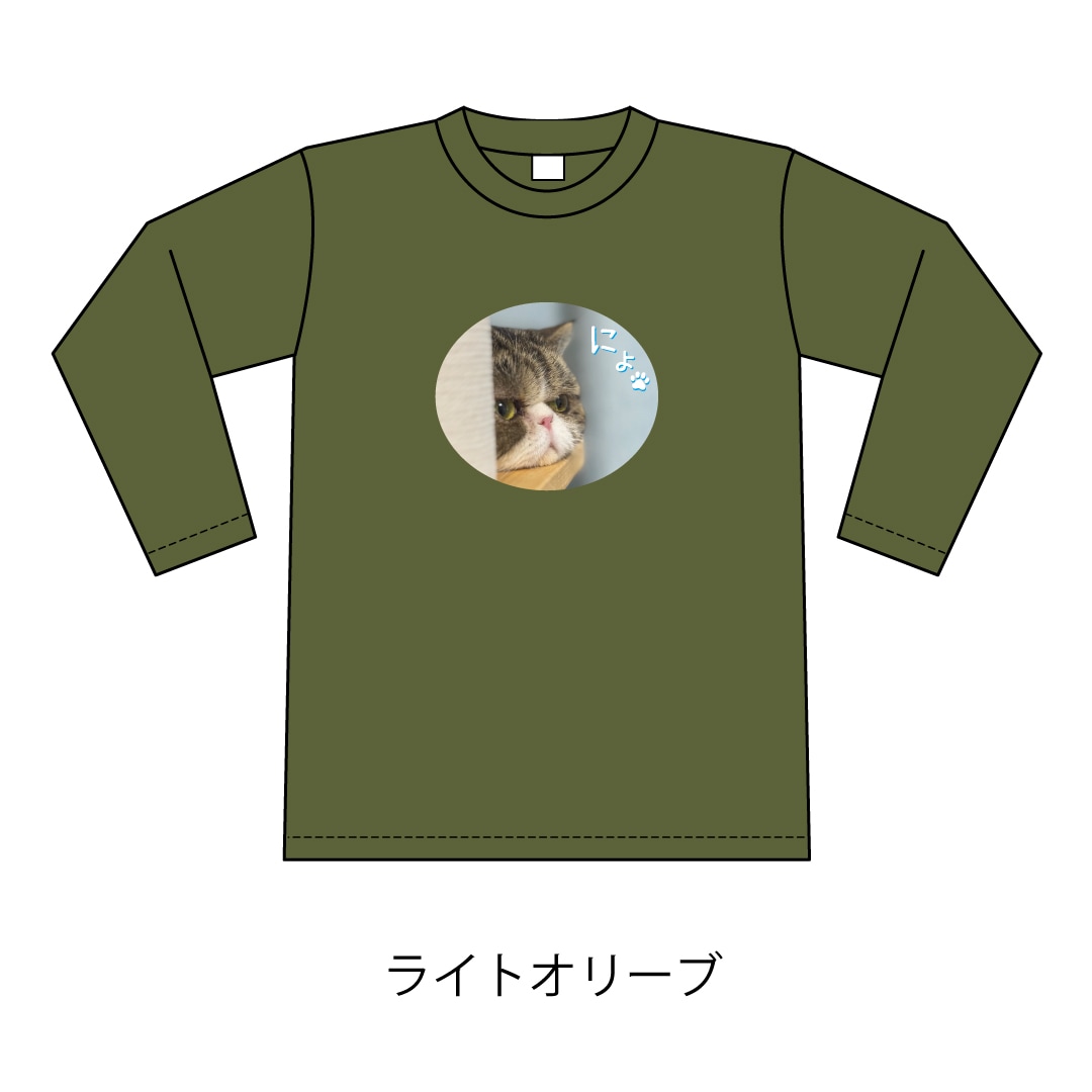 ǭ�������ˤ硩����T�����