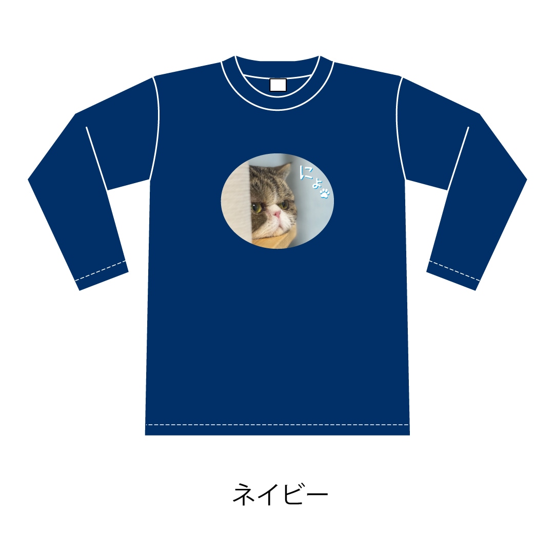 ǭ�������ˤ硩����T�����