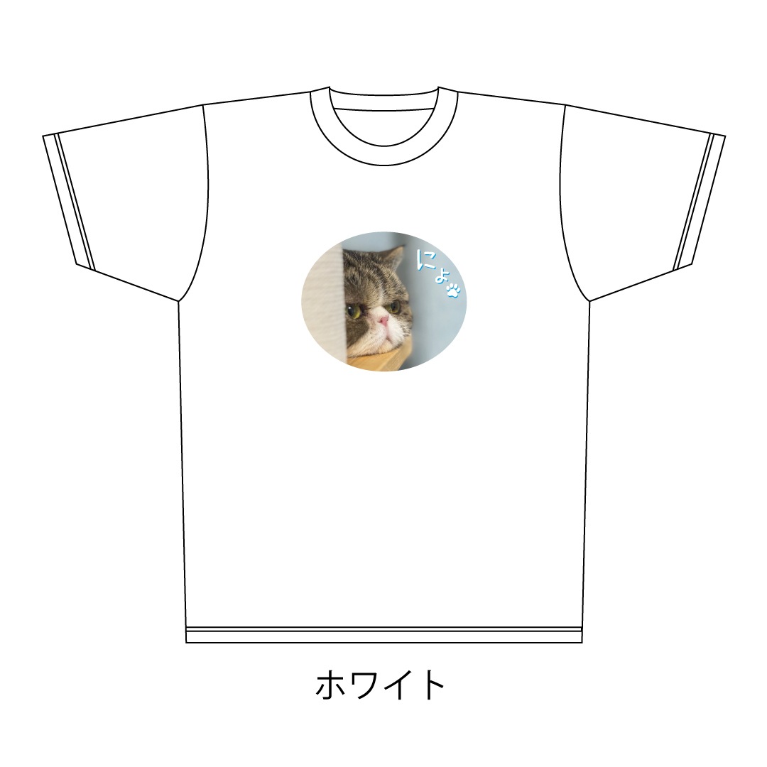 ǭ�������ˤ硩�ɥ饤T�����