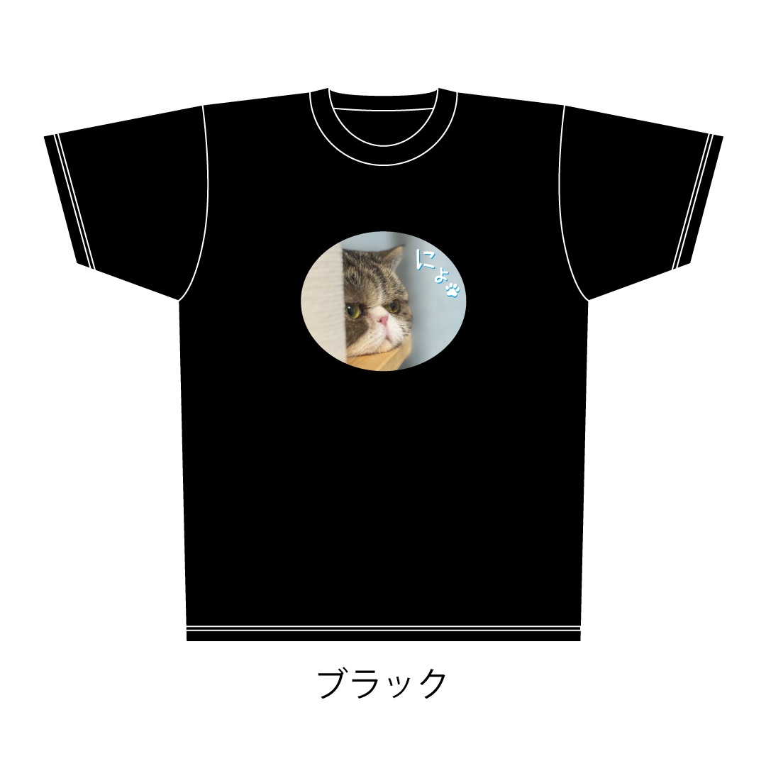 ǭ�������ˤ硩�ɥ饤T�����