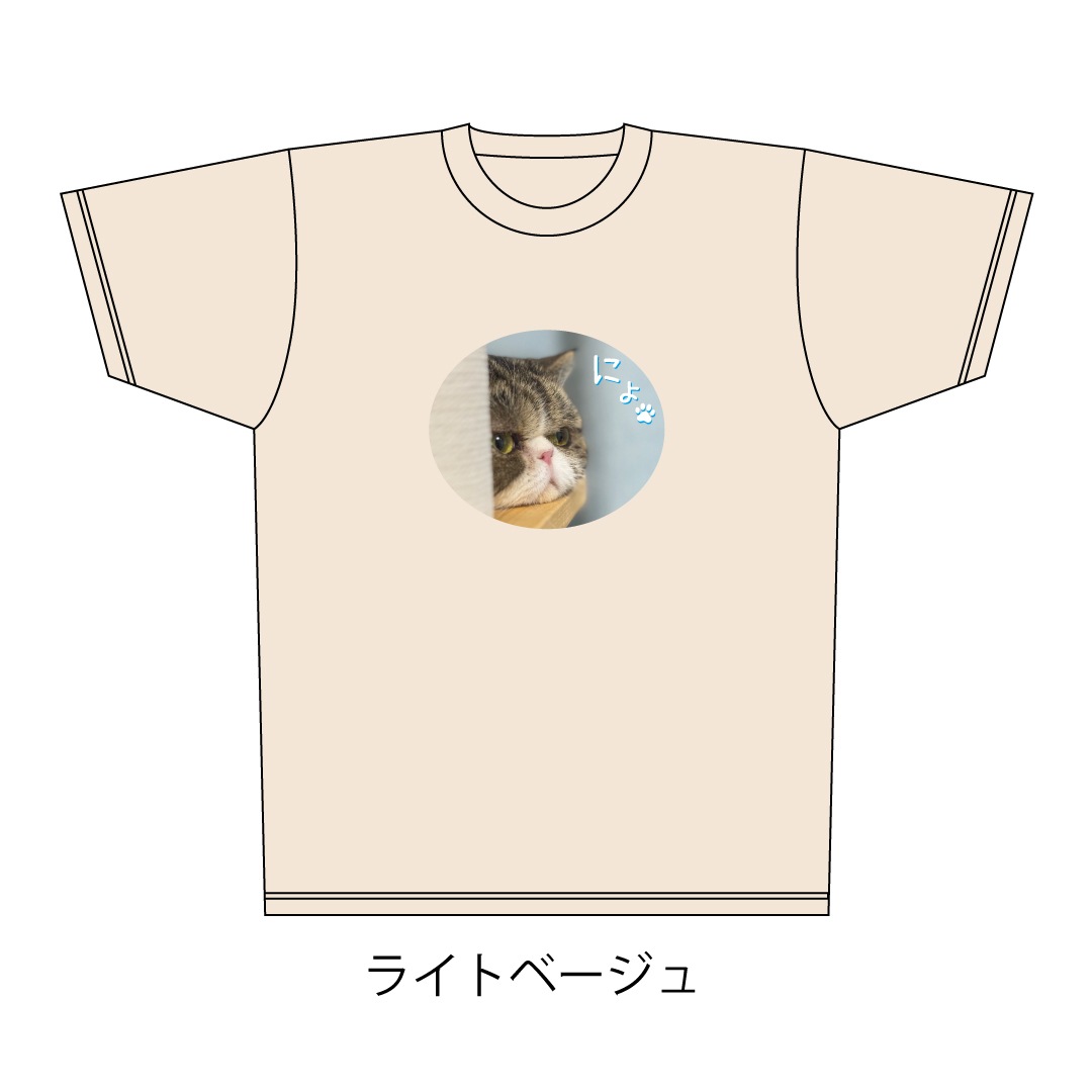 ǭ�������ˤ硩�ɥ饤T�����