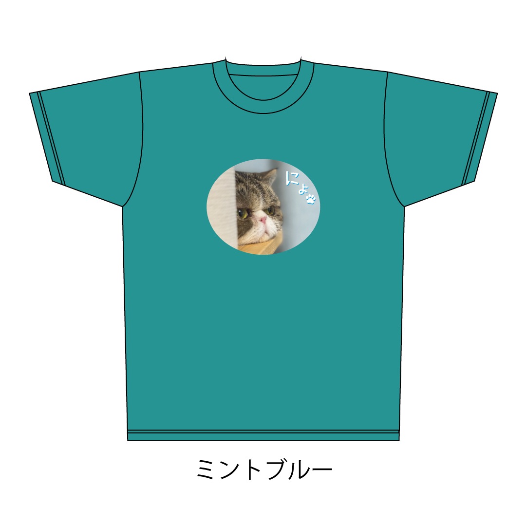 ǭ�������ˤ硩�ɥ饤T�����