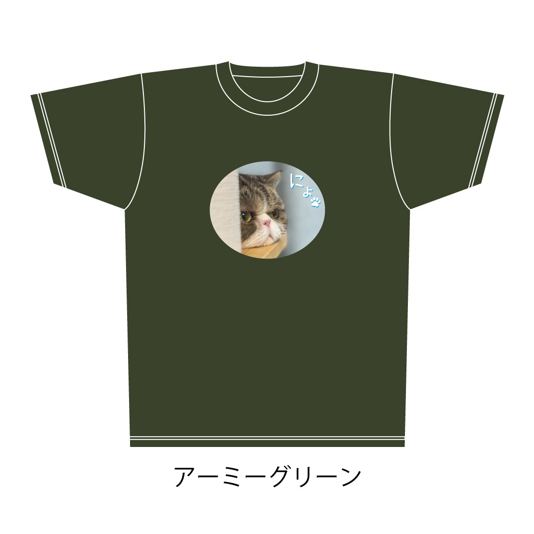 ǭ�������ˤ硩�ɥ饤T�����