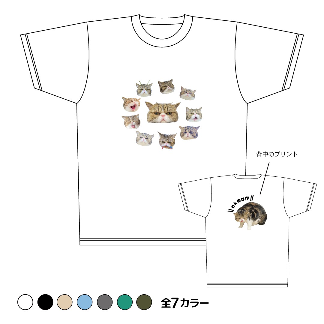 ǭ�����������֥֥ɥ饤T�����