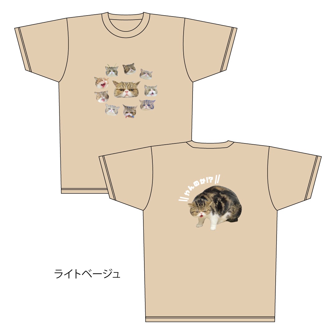 ǭ�����������֥֥ɥ饤T�����