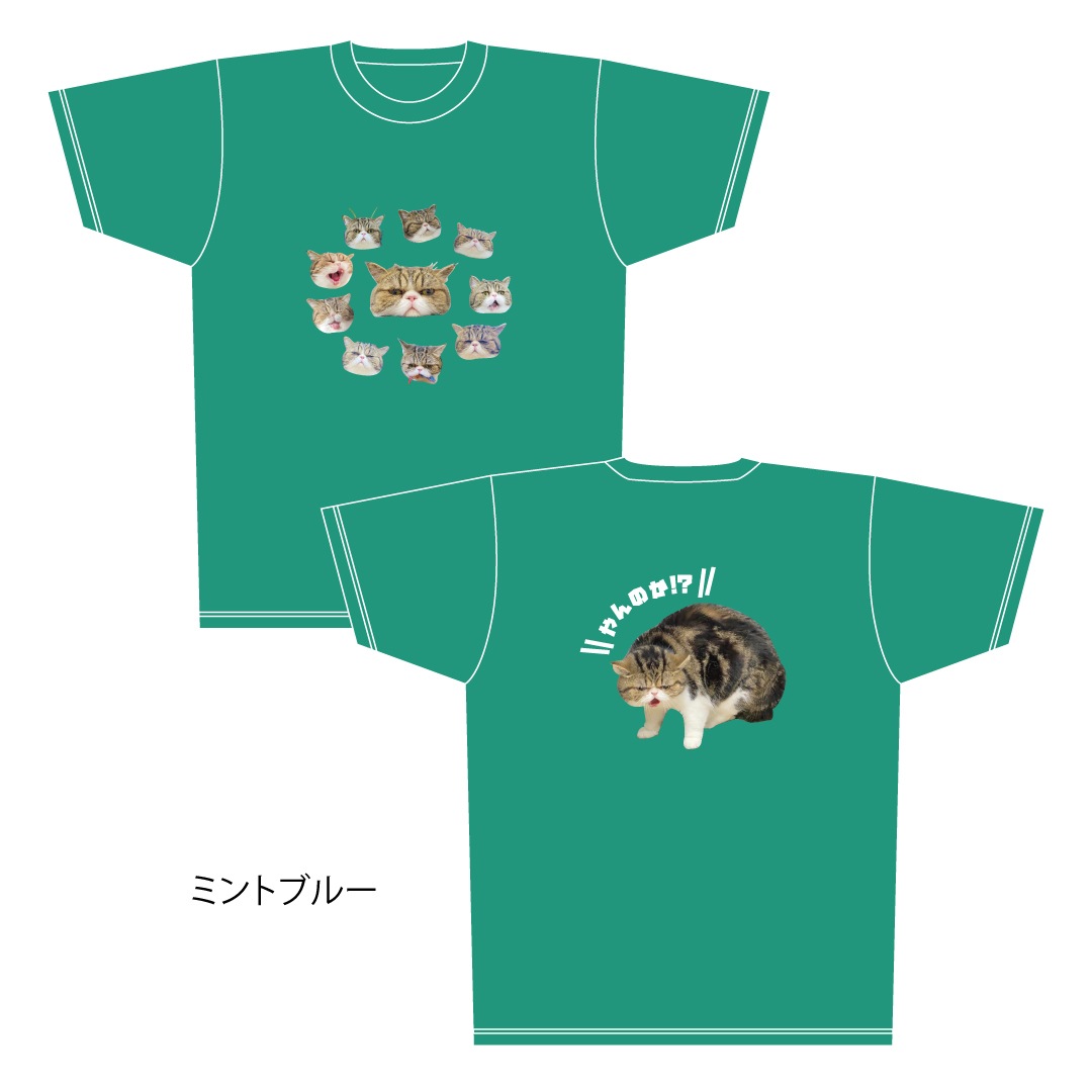 ǭ�����������֥֥ɥ饤T�����