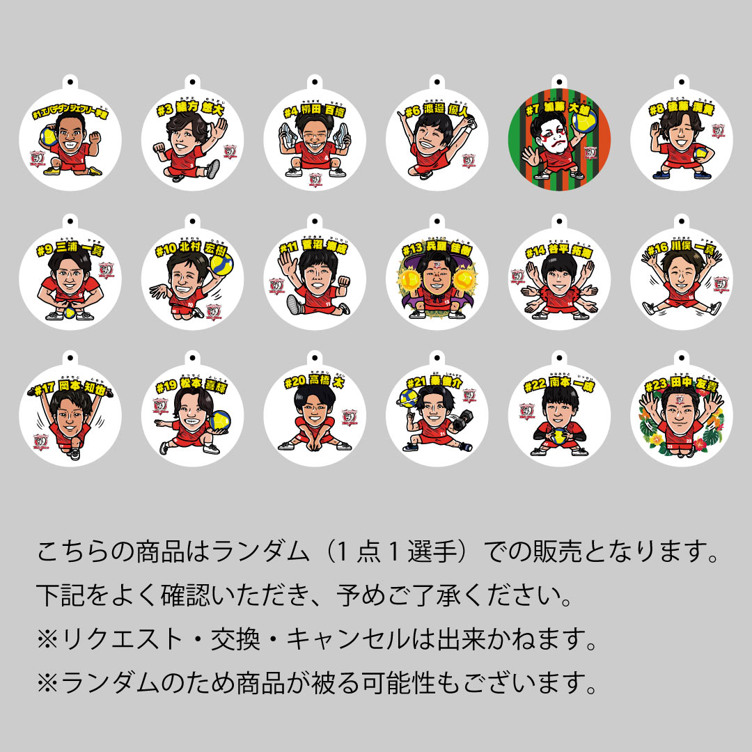 �ٻ��̥��掠����åɥ��ԥ�å� 2025-26�������� �ץ졼�䡼���㡼��ʥ������