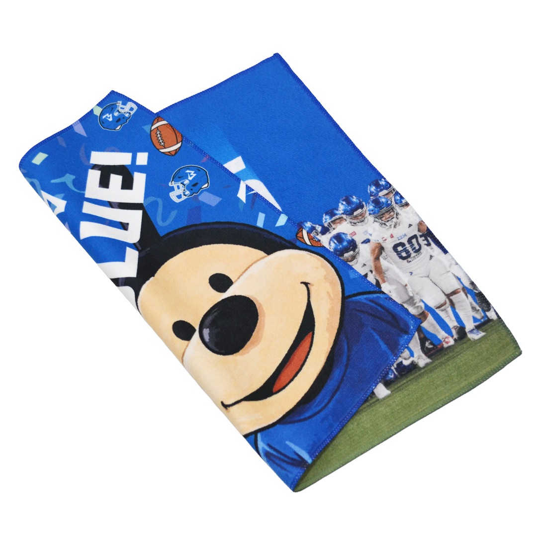 IBM BIG BLUE �������󥰥�����