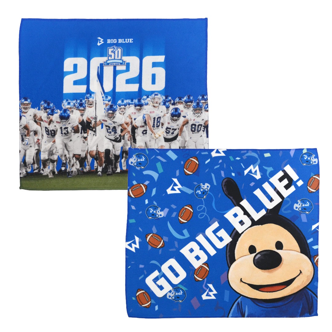 IBM BIG BLUE �������󥰥�����