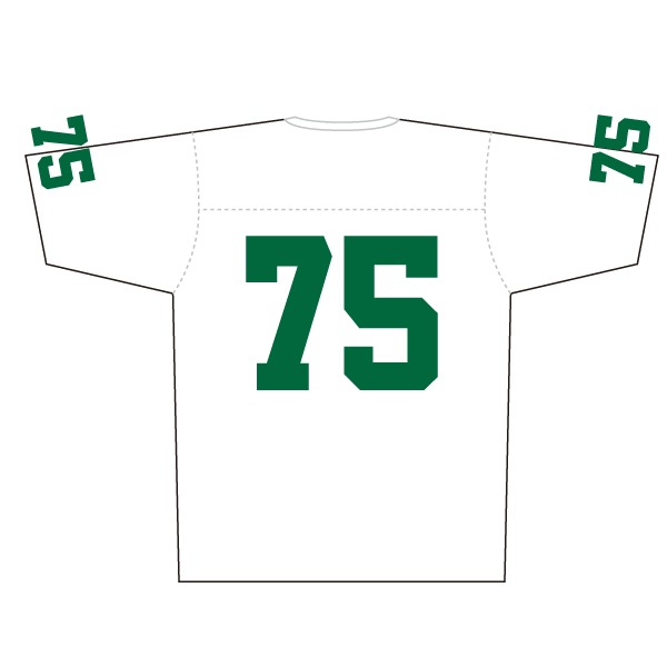 �Ǳ�������إե����ƥ��󥰥��󥸥˥����� ��ץꥫ��˥ե�����