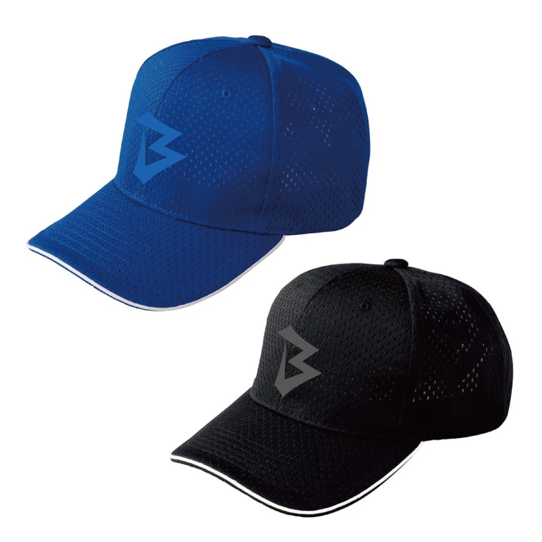 IBM BIG BLUE ����å�