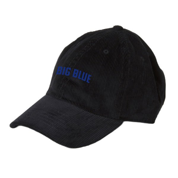 IBM BIG BLUE 2026�������� �١����ܡ��륭��å�