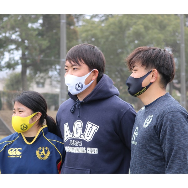 �Ļ��ر���إ饰�ӡ��� ���������륯�ޥ��� (3��/1���å�)