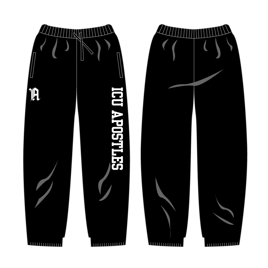 ICU Apostles �������åȥѥ��