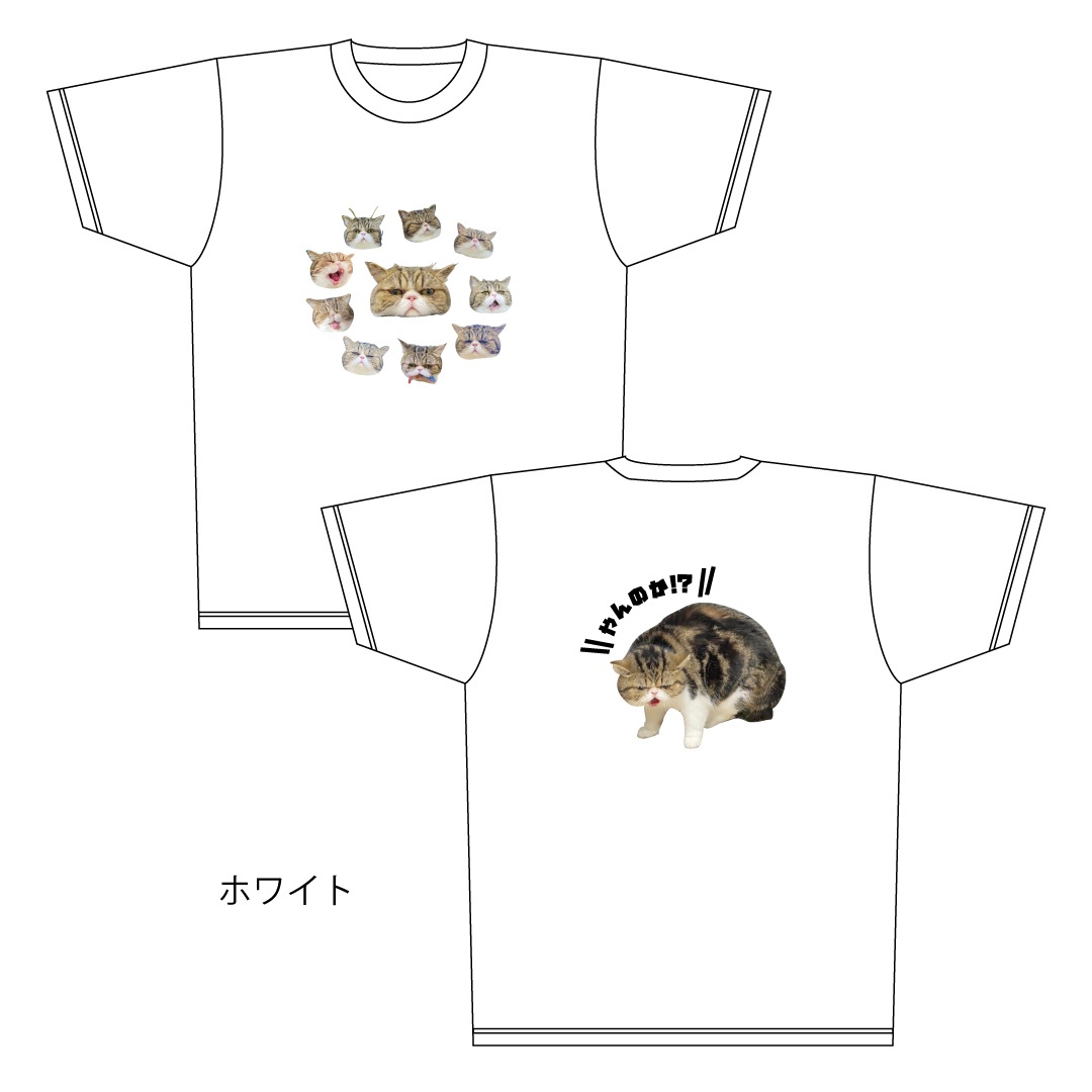 ǭ�����������֥�T�����