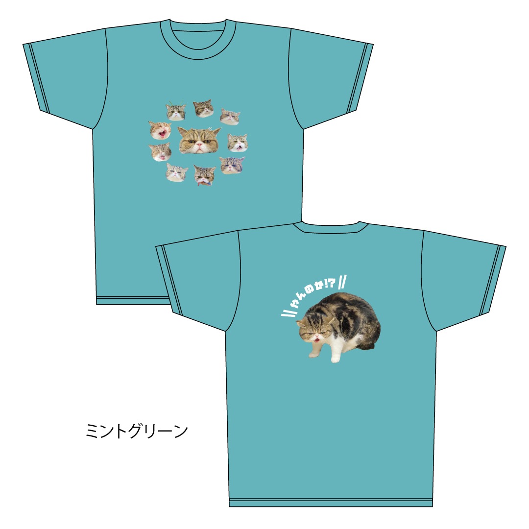 ǭ�����������֥�T�����