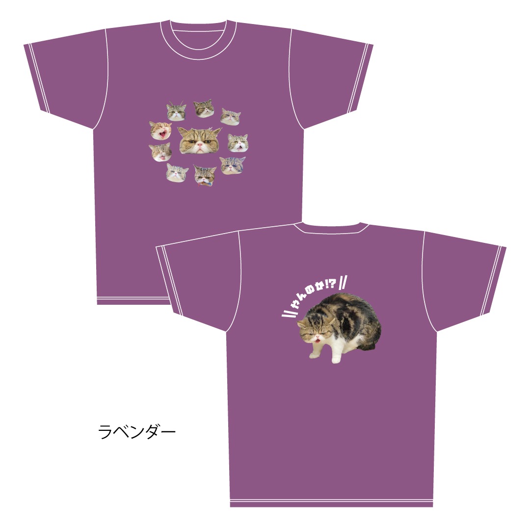 ǭ�����������֥�T�����