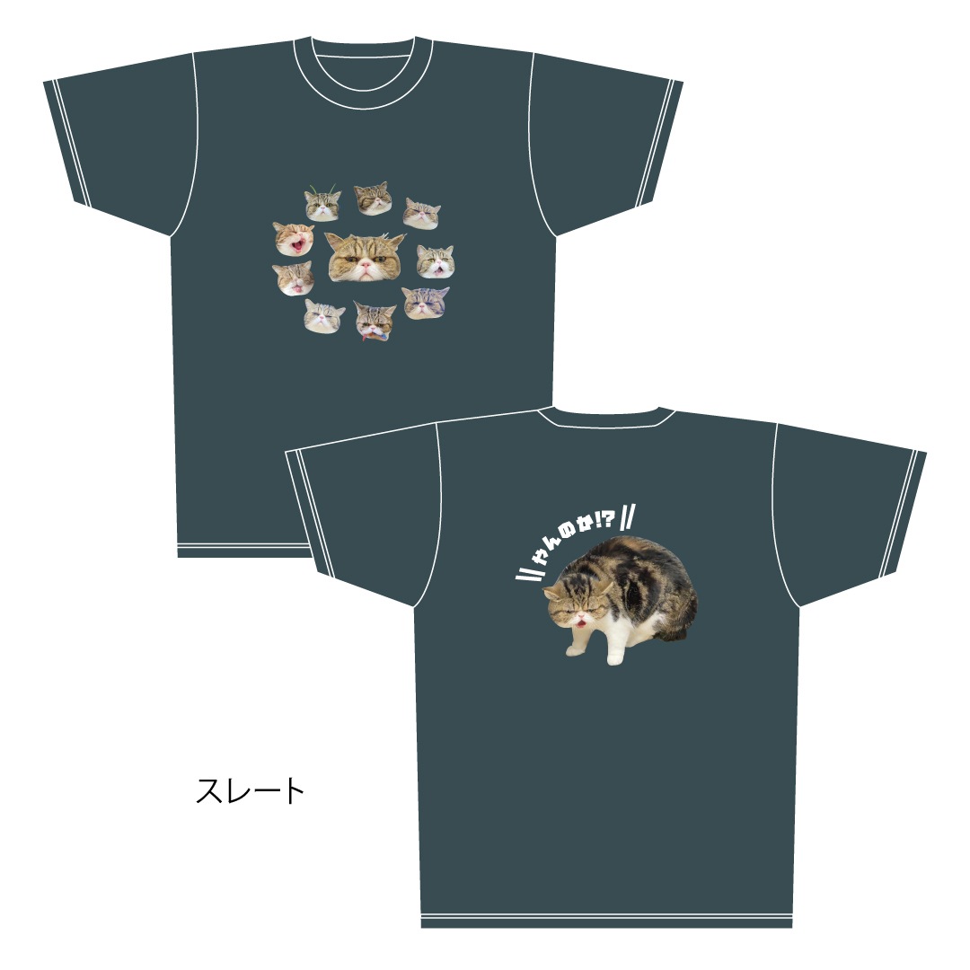 ǭ�����������֥�T�����