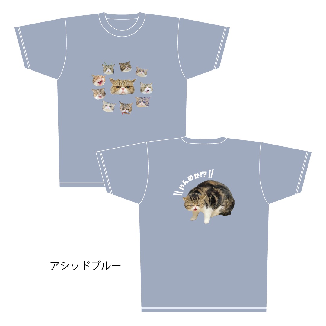 ǭ�����������֥�T�����