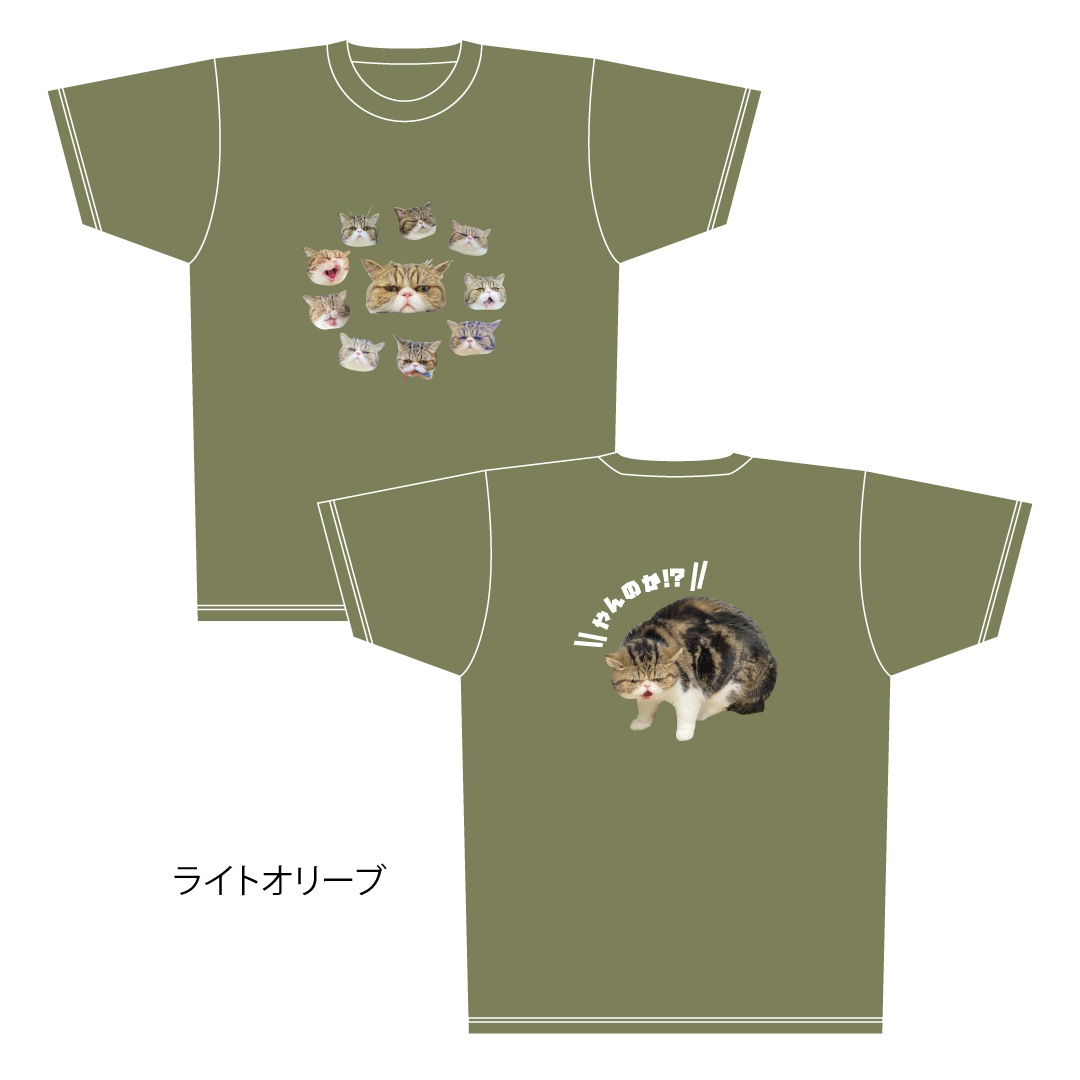 ǭ�����������֥�T�����