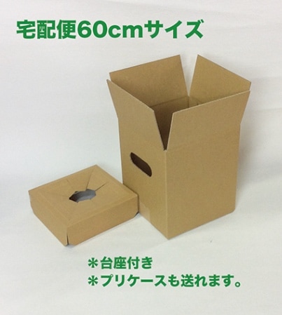 紙の広場】お花用 宅配ボックス 無地 60サイズ 10枚入り