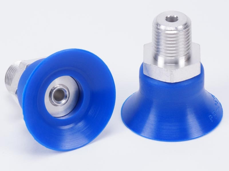 ����ѥ��ȸ��꼰����եѥå�