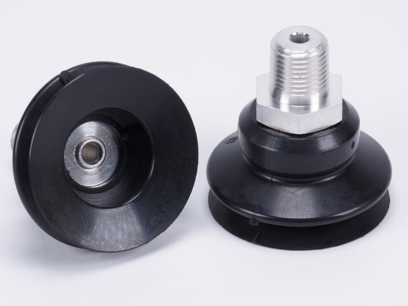 ����ѥ��ȸ��꼰����եѥå�