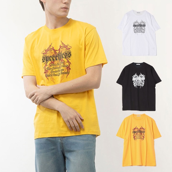 Ⱦµ�ץ���T�����(���å��ץ���)