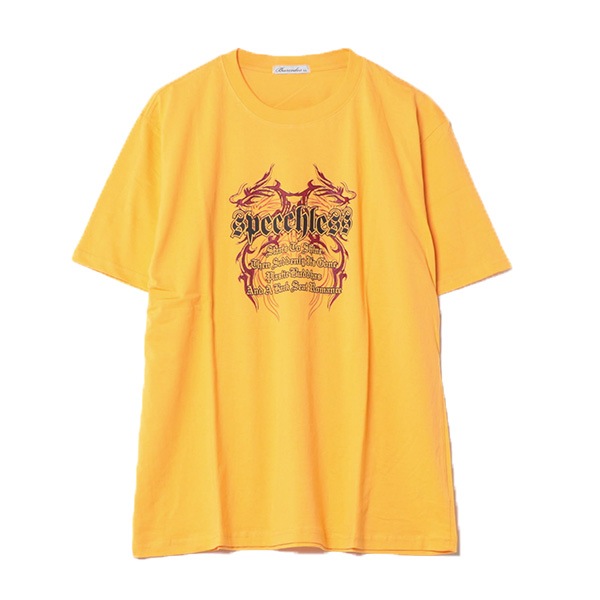 Ⱦµ�ץ���T�����(���å��ץ���)