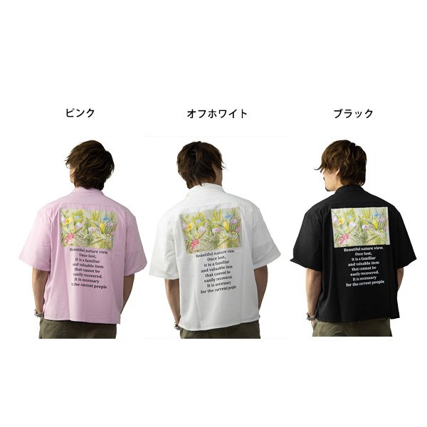 ӥå륨åȥץȾµץ󥷥