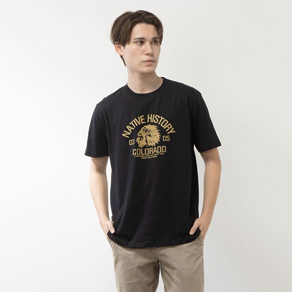 Ⱦµ�ץ���T�����(NATIVE)