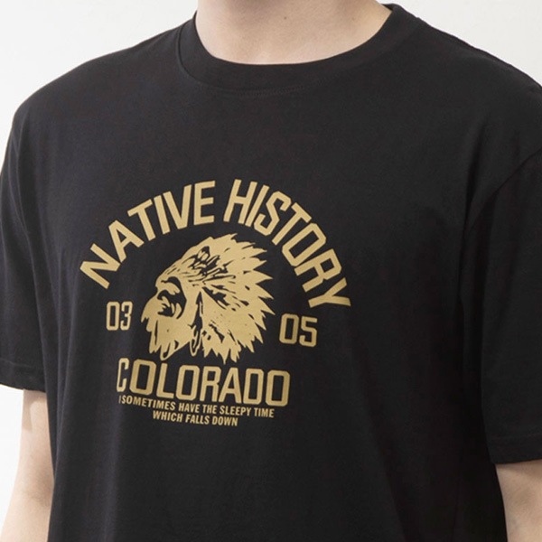 Ⱦµ�ץ���T�����(NATIVE)