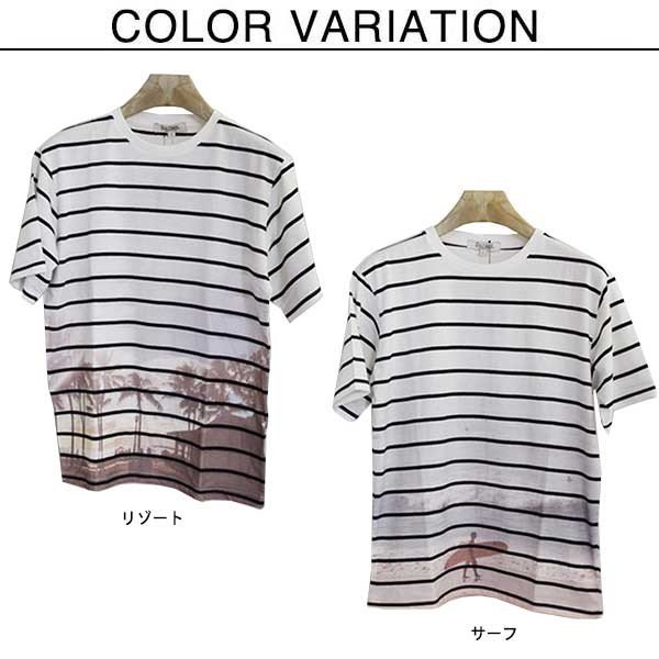 ꥾ȡե顼եȥץȥܡȾµT