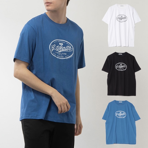 Ⱦµ�ץ���T�����(Weatlth)