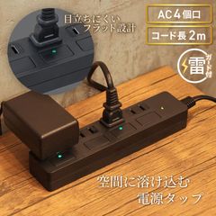 電源タップ 2m 雷ガード 4個口 PTP4BK-2 STYLED
