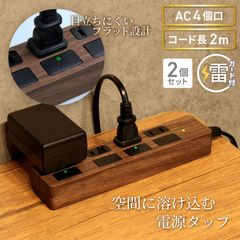 電源タップ 2m 雷ガード 4個口 2個セット PTP4DB-2X2 STYLED