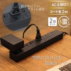 電源タップ 2m 雷ガード 6個口 2個セット PTP6BK-2X2 STYLED